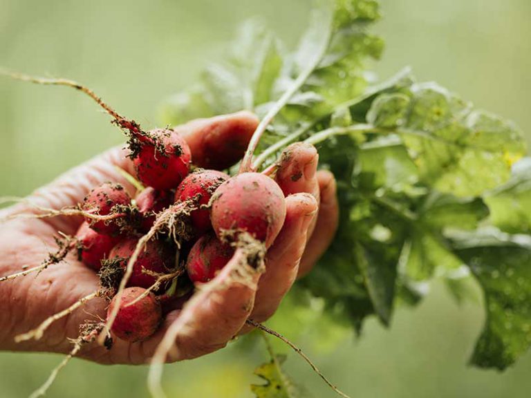 Tokunbo and Brand New TVS All Brands and Sizes for Sale