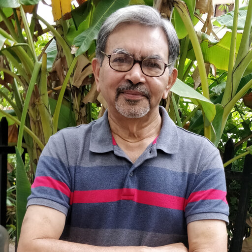 Prof. Peeyush Chandra