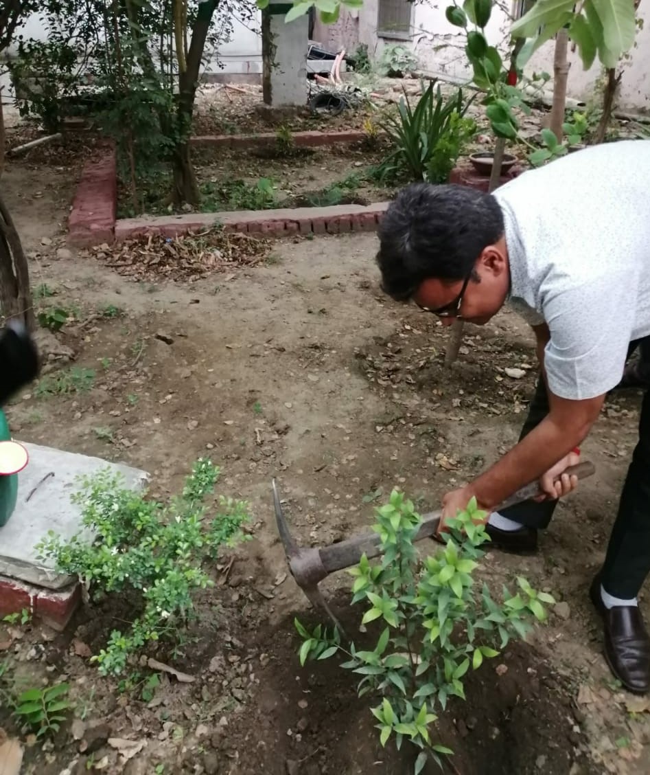 World Environment Day Celebration 2022